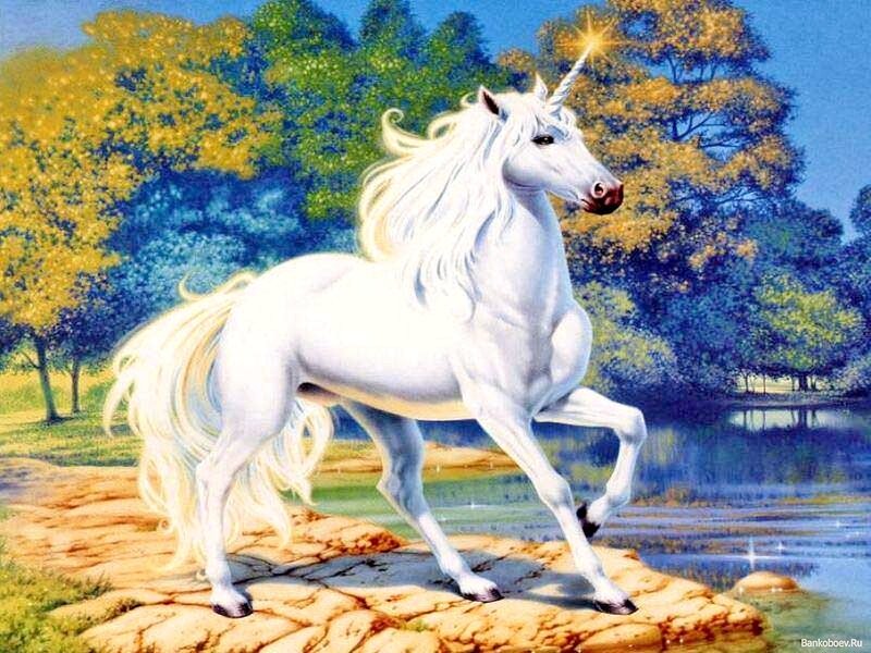 White Unicorn Standing — Serene, Afternoon