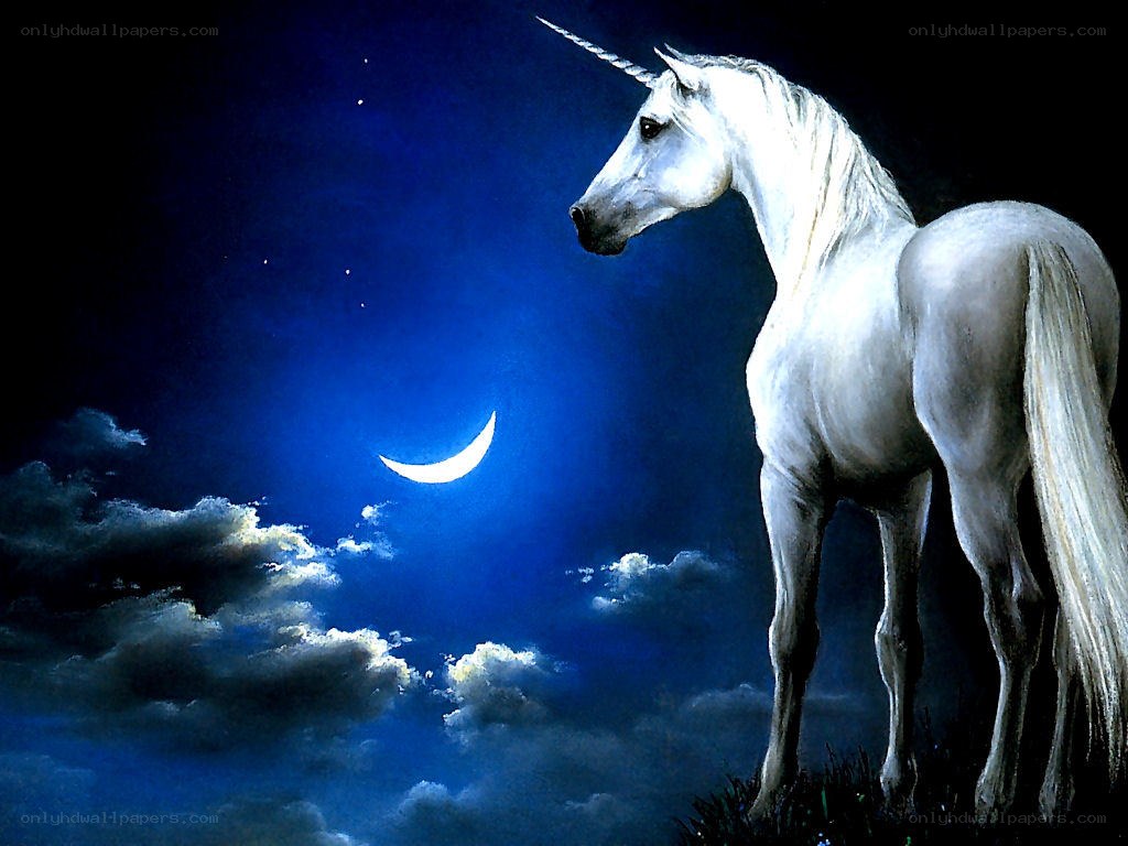 White unicorn under moonlight