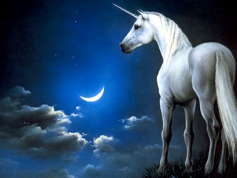 White unicorn under moonlight