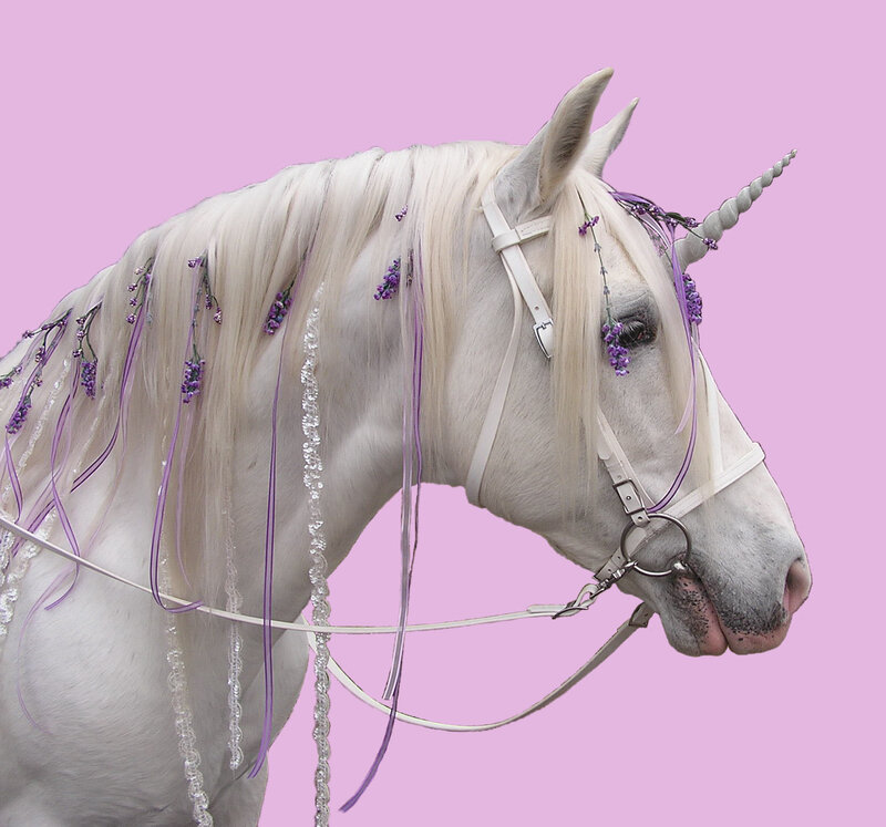 white unicorn with lavender flowers