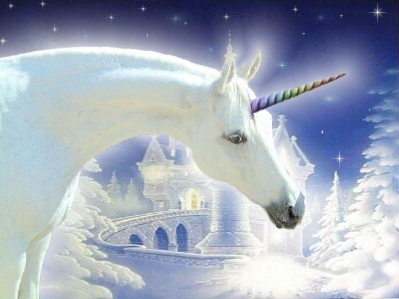 White Unicorn with Rainbow Horn — Magical