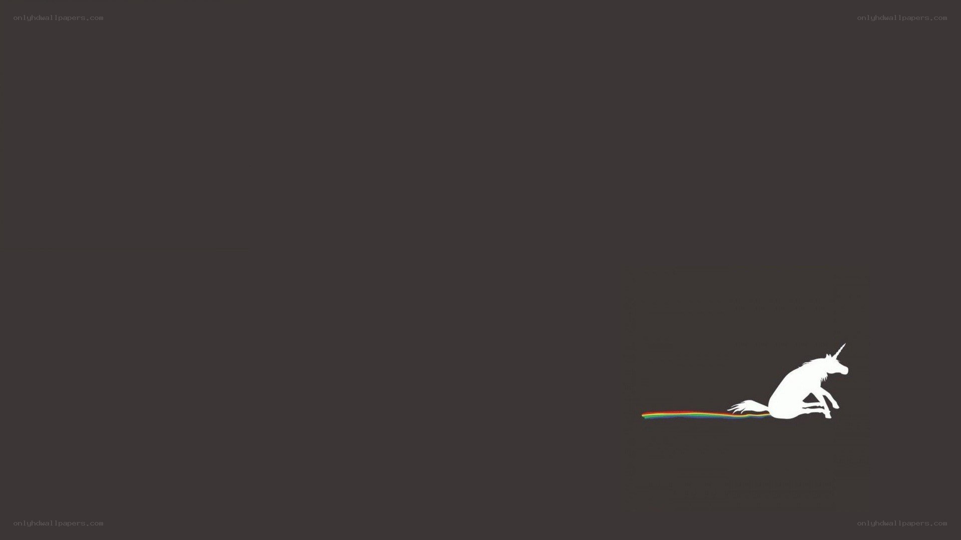 white unicorn with rainbow tail