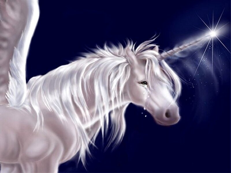 White Unicorn with Tears