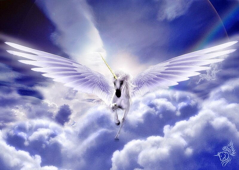 white unicorn with wings in clouds