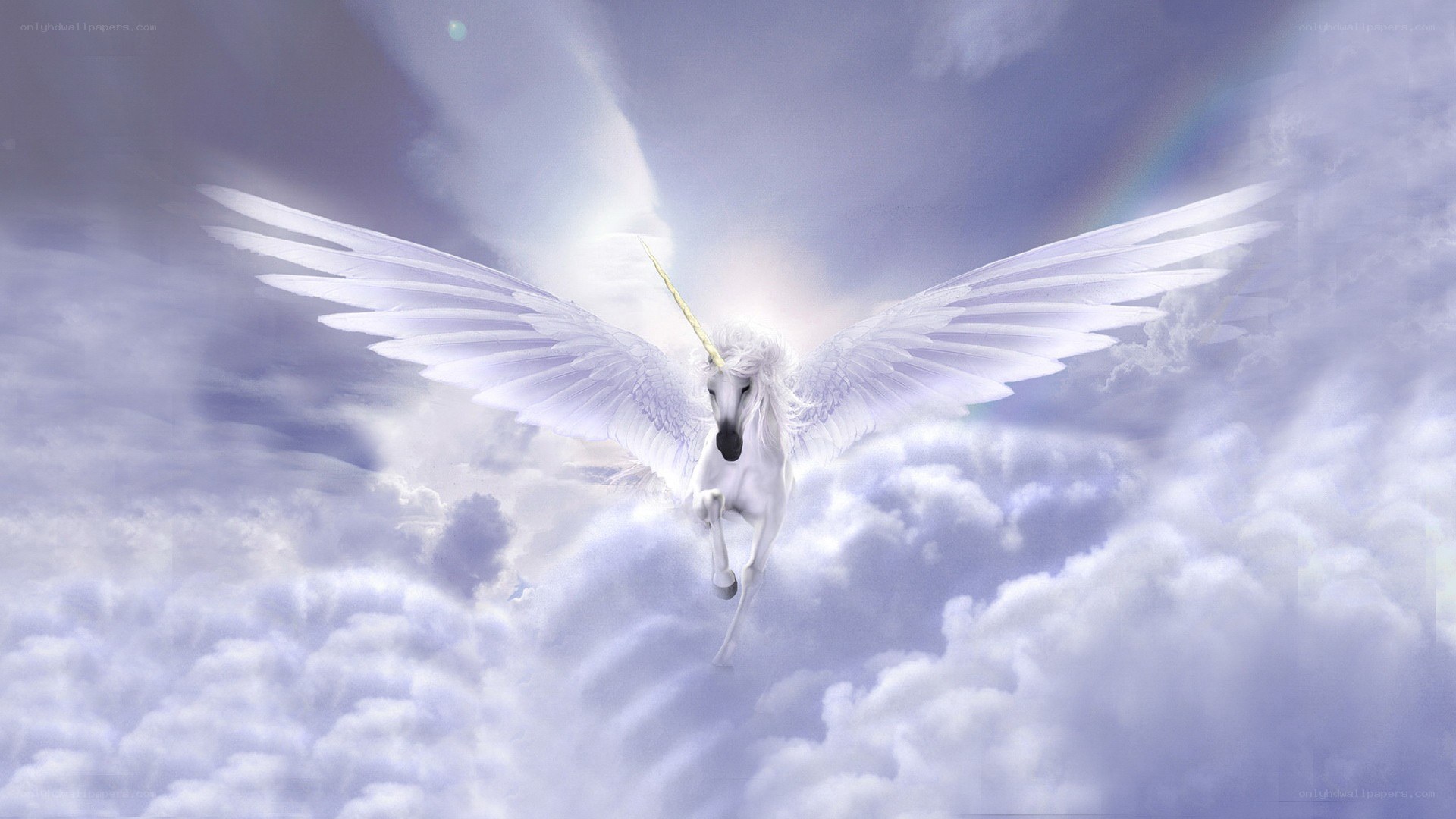 white unicorn with wings in clouds