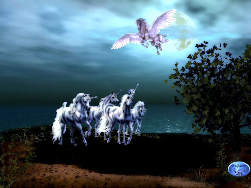 White Unicorns and Pegasus