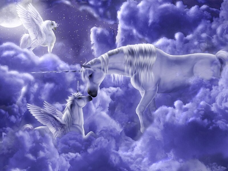 White Unicorns in Clouds