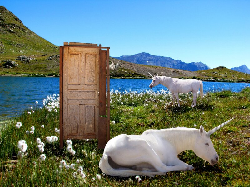 White Unicorns in Field — Green