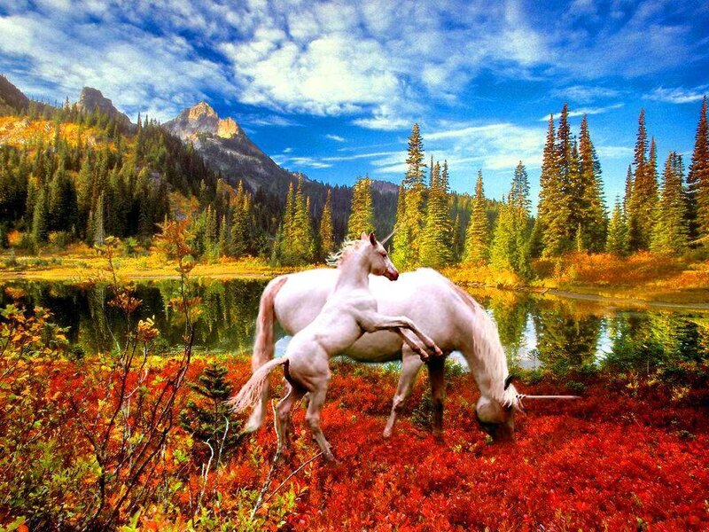 White Unicorns in Field