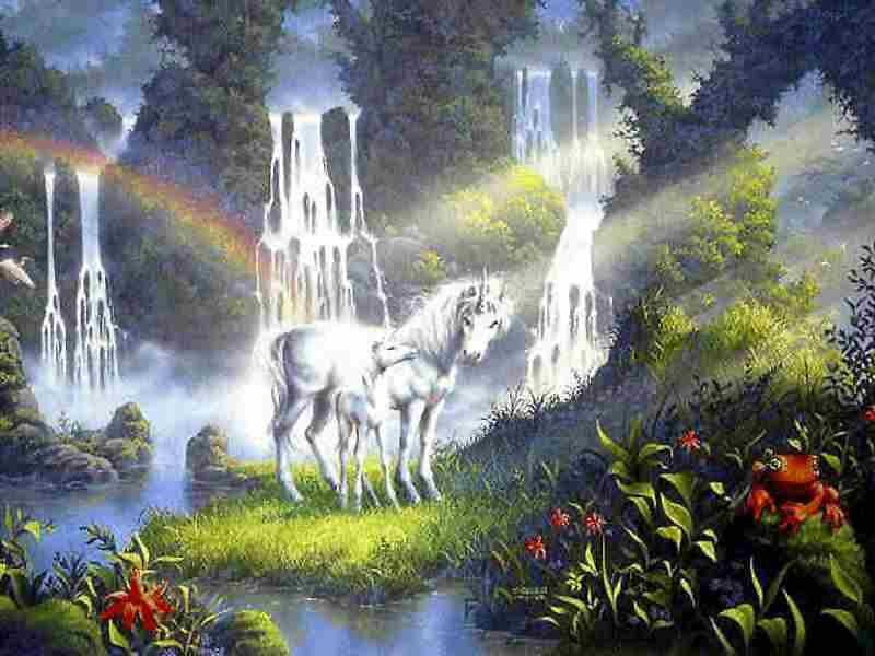 White Unicorns in Forest