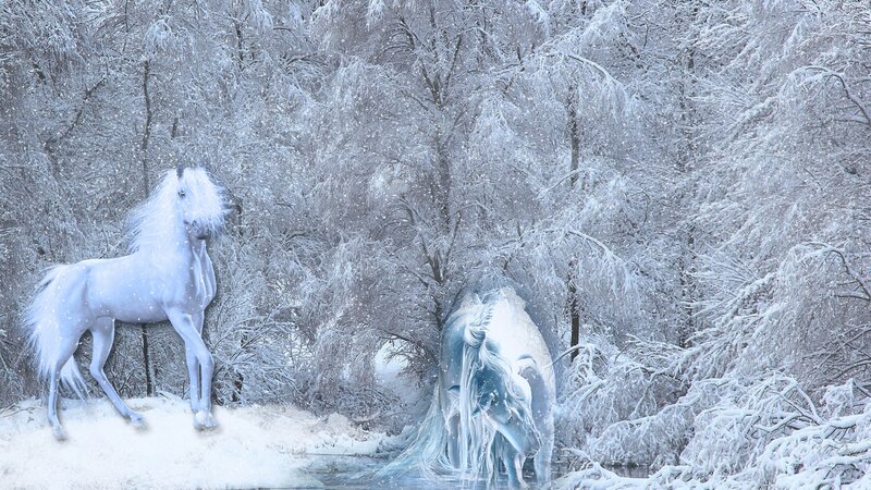White Unicorns in Snow