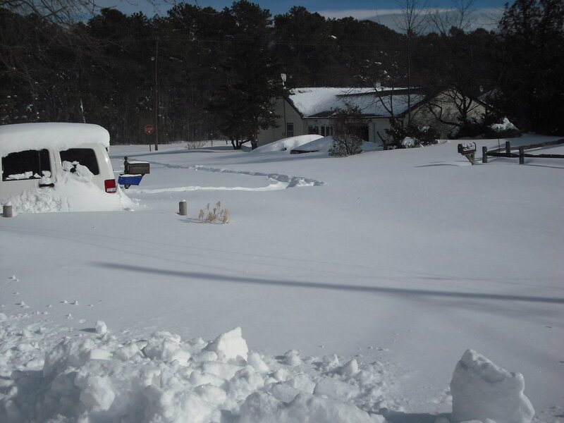 White Van in Snow