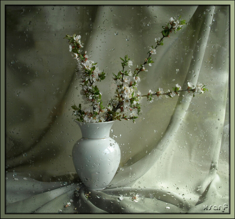 White Vase with Blossoms