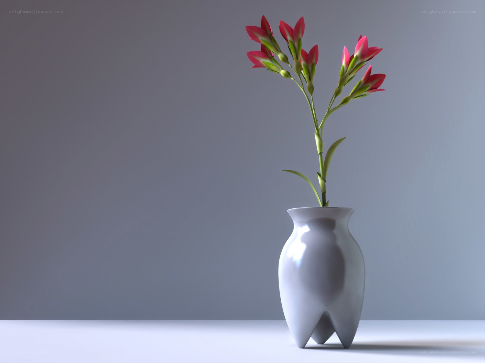 White vase with pink flowers