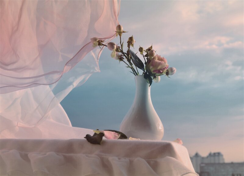 White Vase with Roses