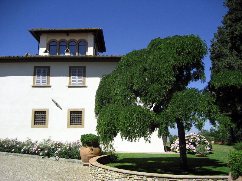 White Villa with Tree