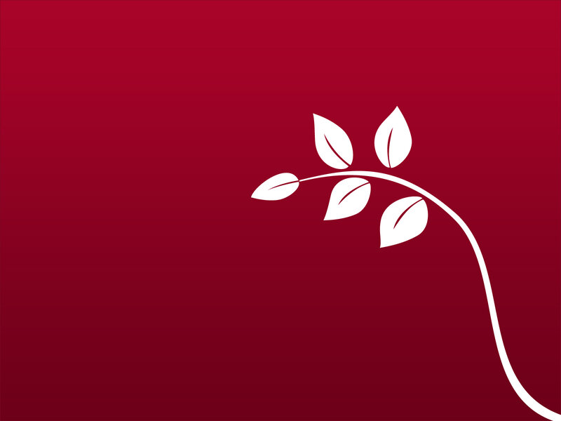 white vine on red background