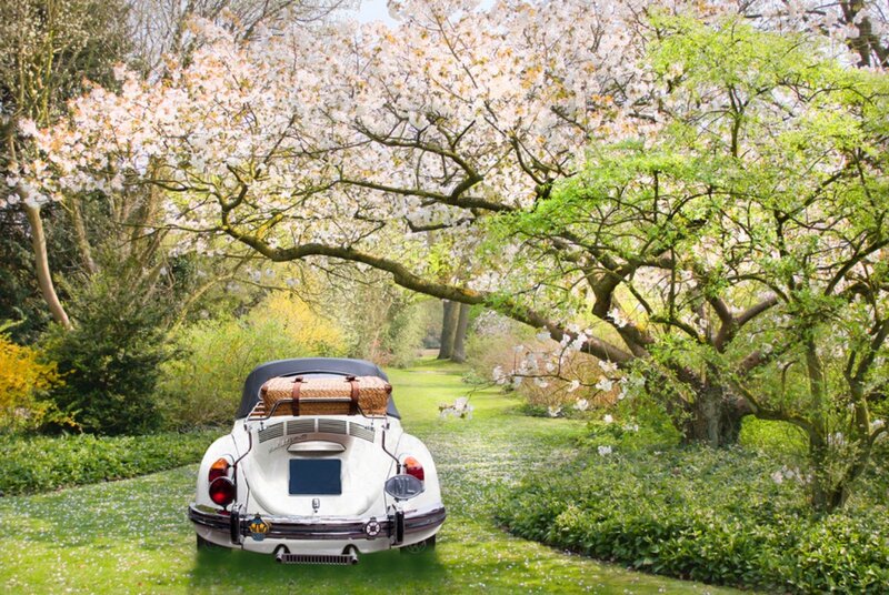 White Vintage Car — Green