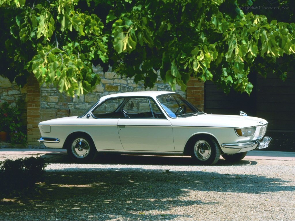 white vintage car under tree