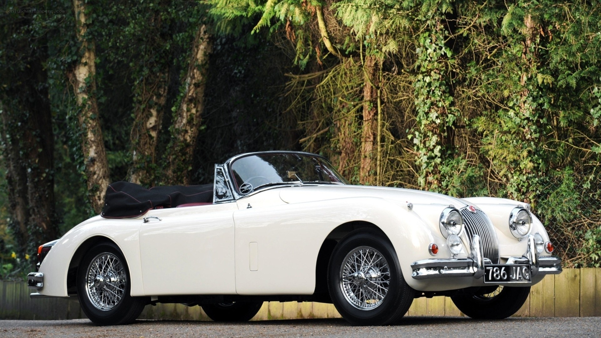 white vintage jaguar convertible