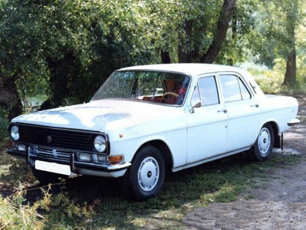white vintage sedan in forest