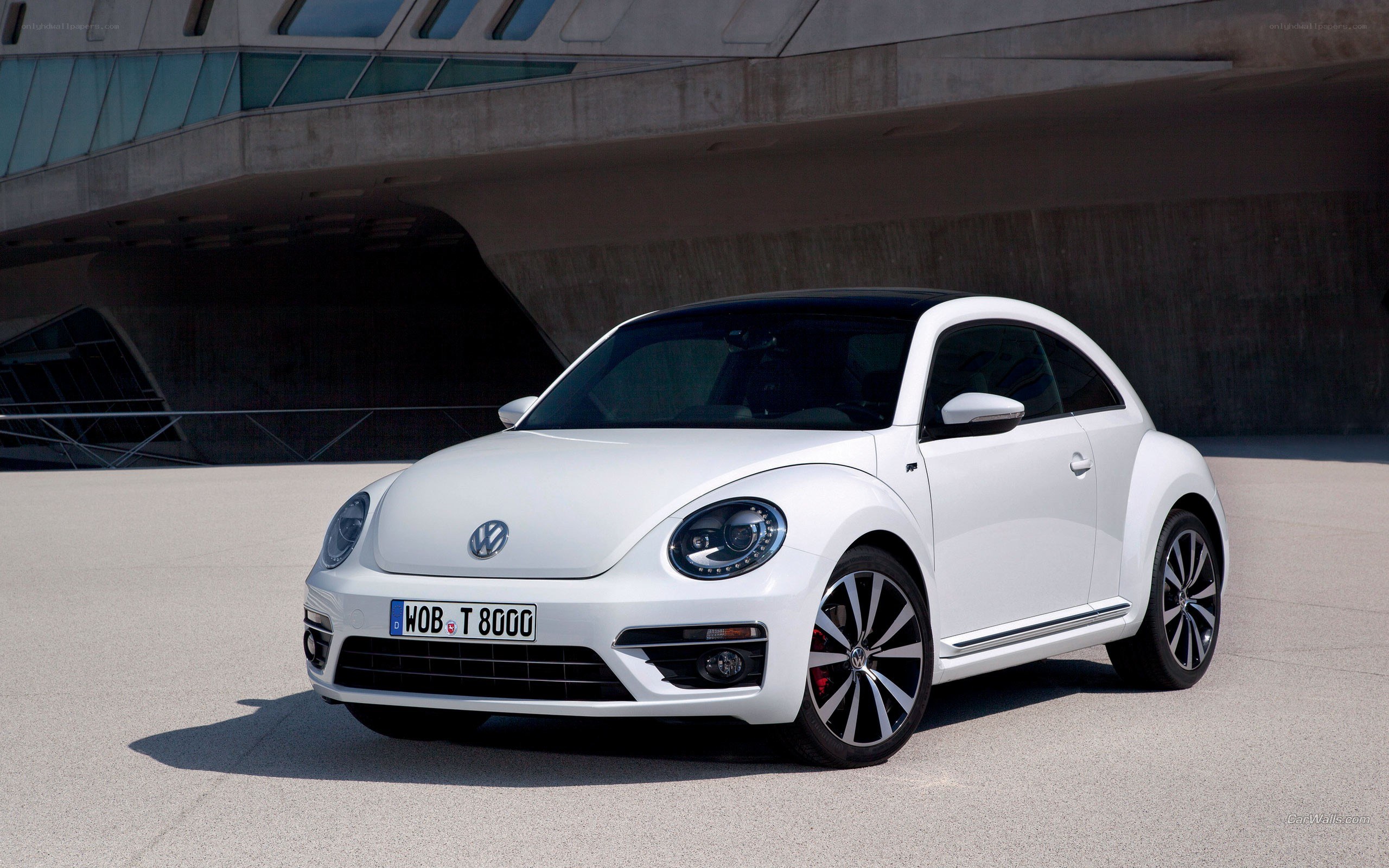 White Volkswagen Beetle car