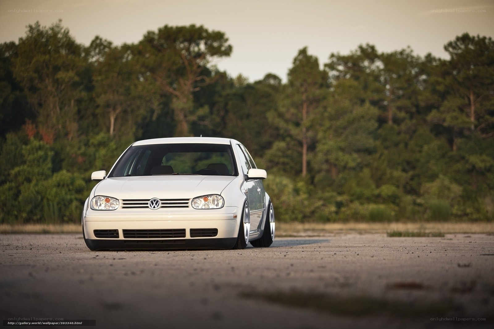 white volkswagen golf