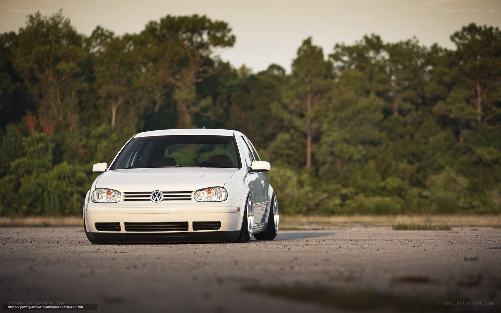 white volkswagen golf