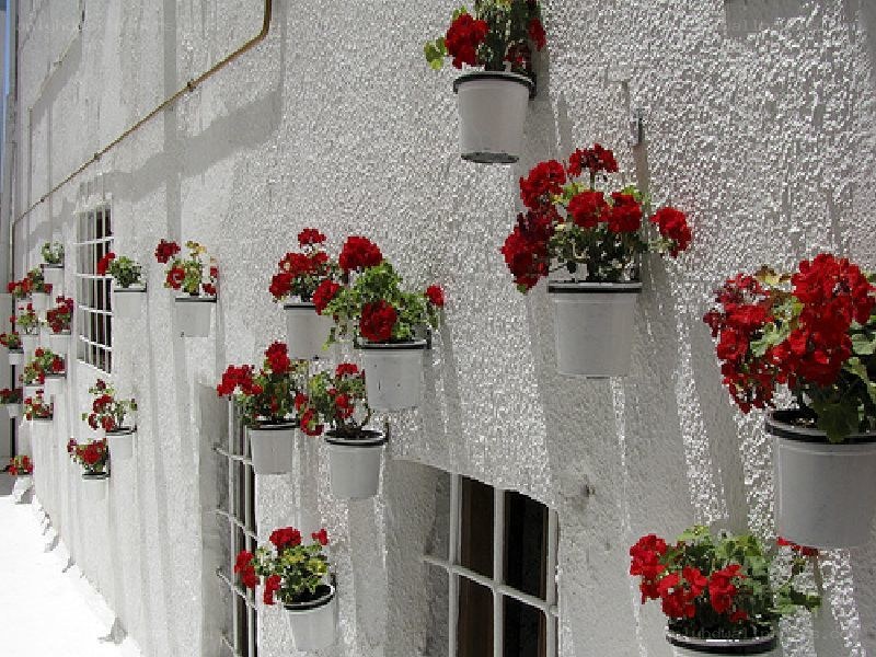 white wall with red flowers