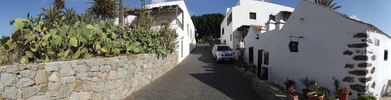 White-washed village street with cacti