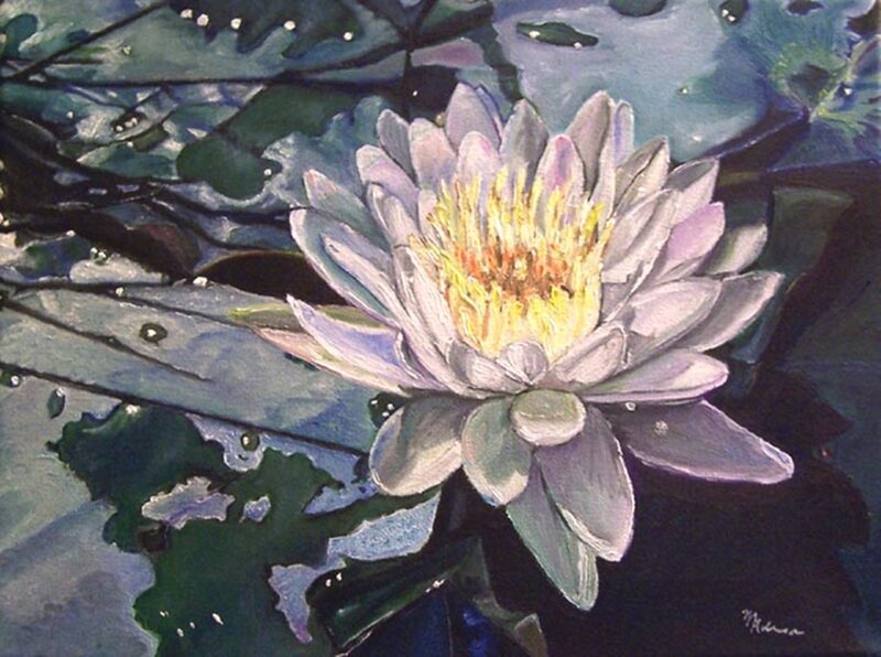 White Water Lily Flower — Purple