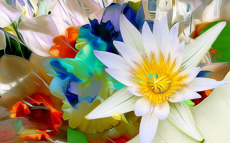 White Water Lily Flower — Vibrant