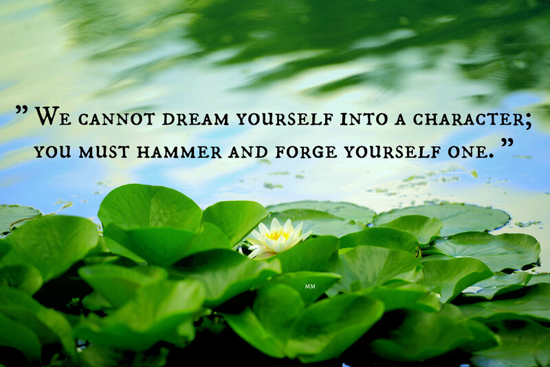 White Water Lily — Green