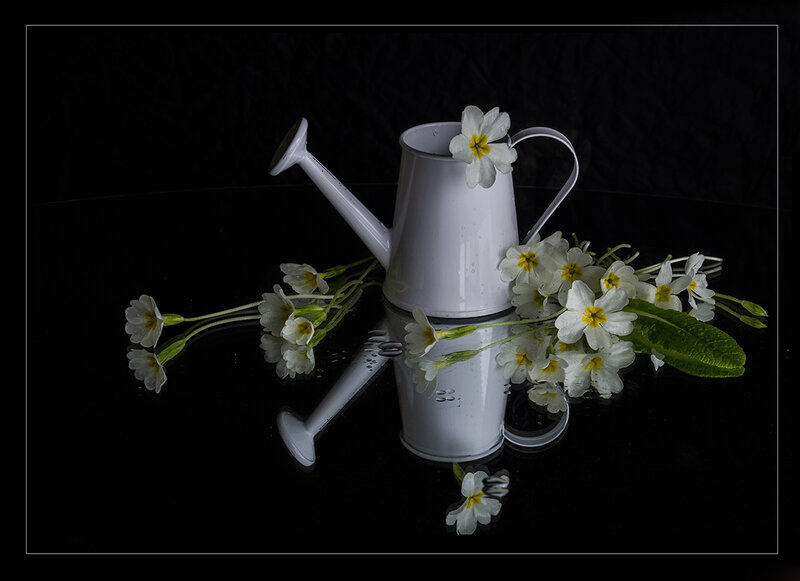 White Watering Can with Flowers — Black