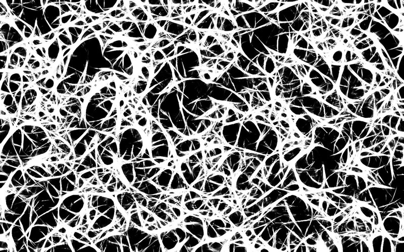 White Web on Black