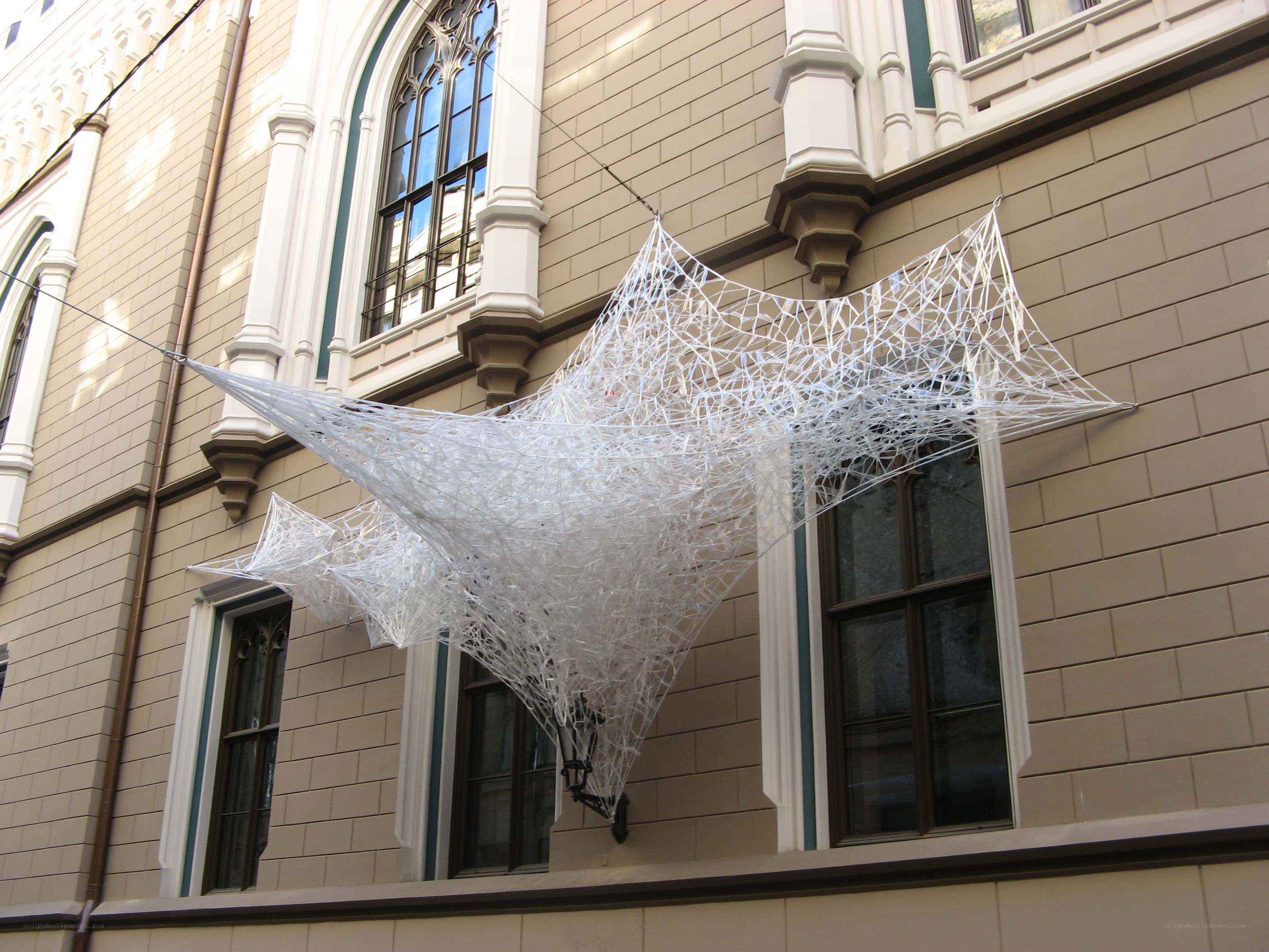 White web sculpture on building