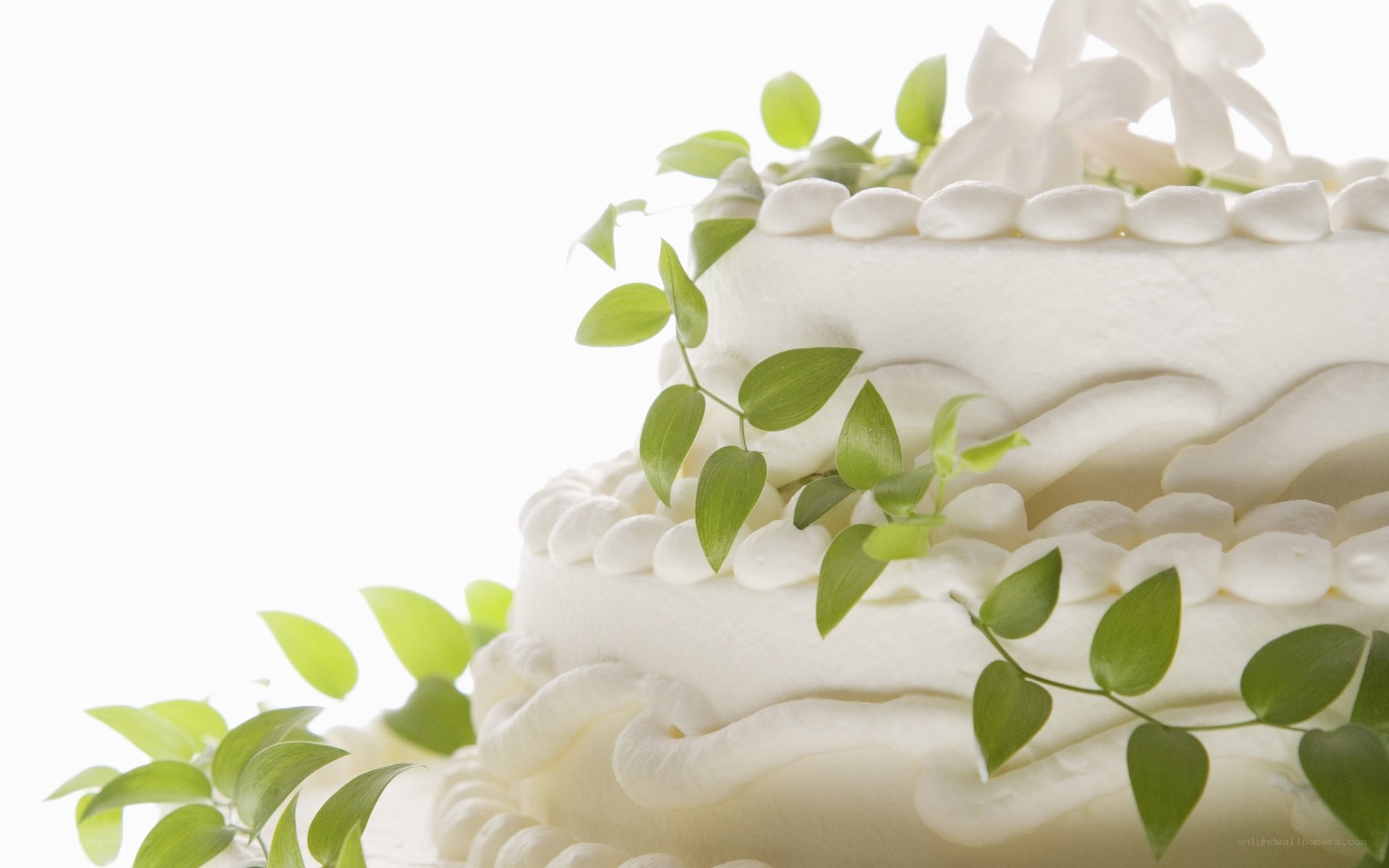 white wedding cake with green leaves