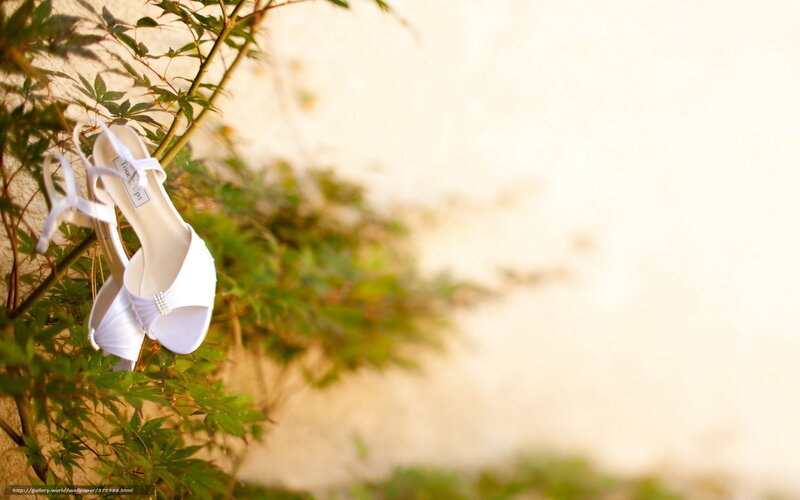 White wedding shoes on plant