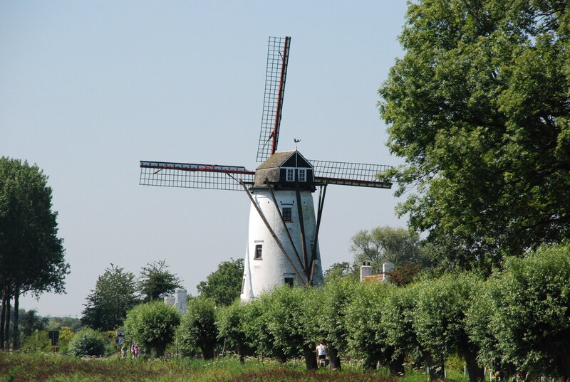 White Windmill in Field