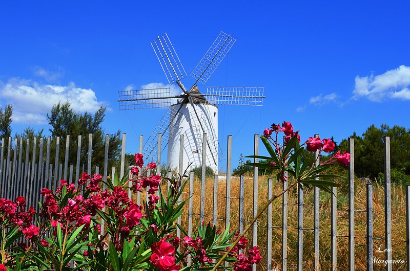 White Windmill