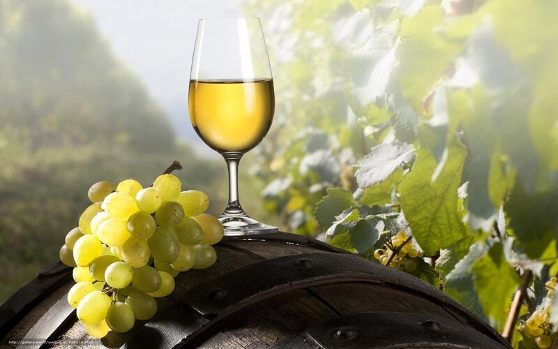 White wine in vineyard setting