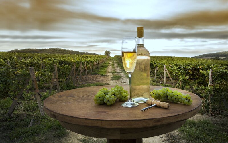 White Wine in Vineyard