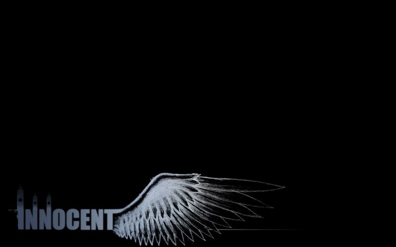 White Wing on Black