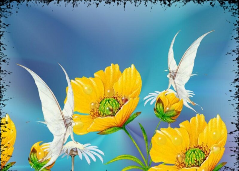 White-winged Fairies on Flowers