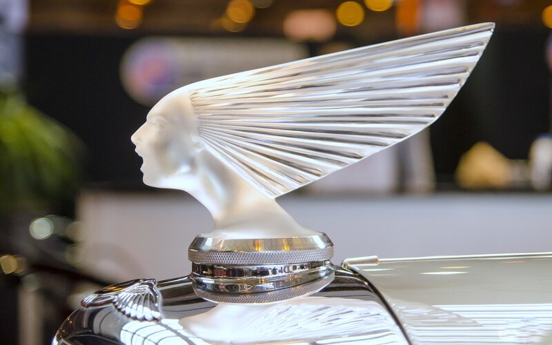 White Winged Hood Ornament