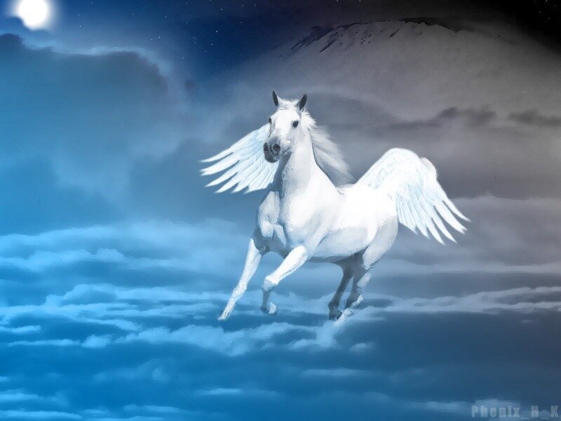 White Winged Horse — Blue, Dramatic, Night