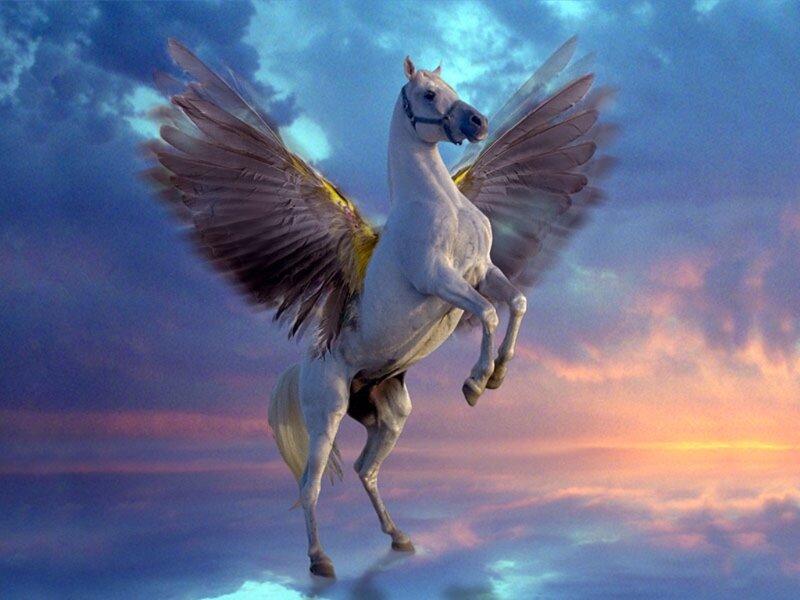 White Winged Horse — Blue, Dramatic, Sunset, Digital Art, Wings, Sky, Clouds