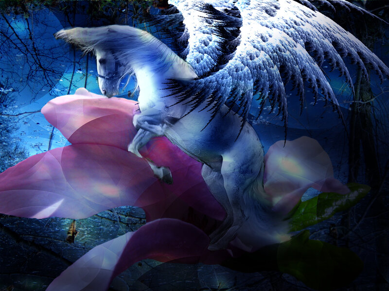 White Winged Horse — Blue, Fantasy, Night, Digital Art