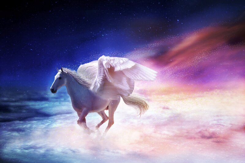 White Winged Horse — Blue, Fantasy