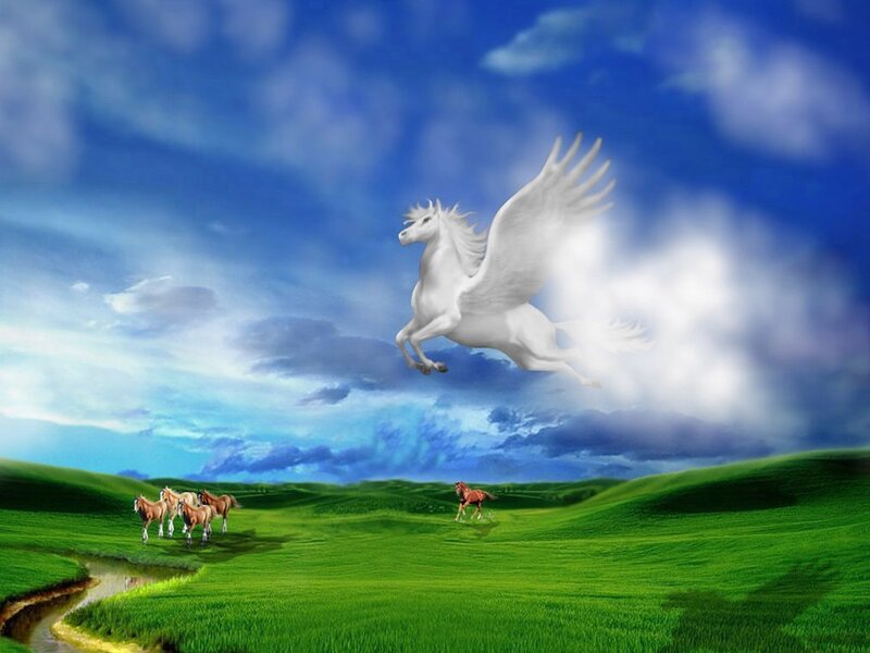White Winged Horse — Blue, Serene, Afternoon